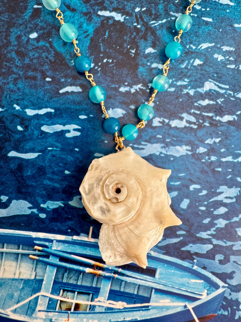 Bougainvillea Café She Sells Seashells